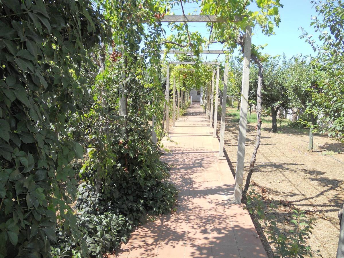 Villetta Patitari Gallipoli Εξωτερικό φωτογραφία